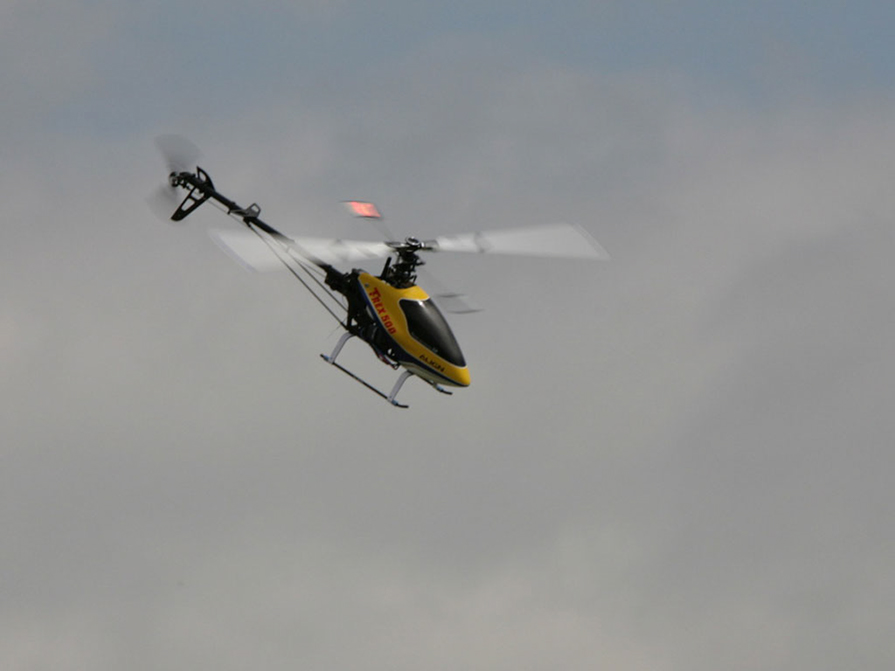 Iains-500