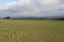 Field-with-rolling