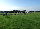 Our field