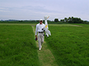 TheWhiteArrows