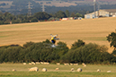 IMG_0128 copy