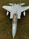 f15 006 (600x800)